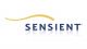 Sensient DYE Tinte yellow [IJC-4140]
