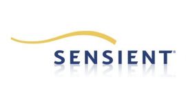 Sensient DYE Tinte yellow [LEX-840]